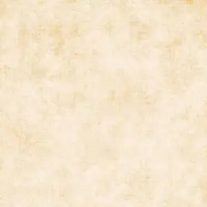 Cream Fabric (New Arrival)
