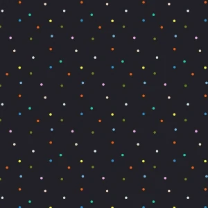 Dear Stella Hall Pass Raven fabric